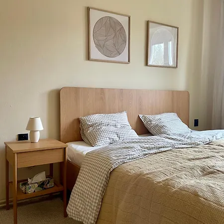 Amazing Wolkerova Apartmán